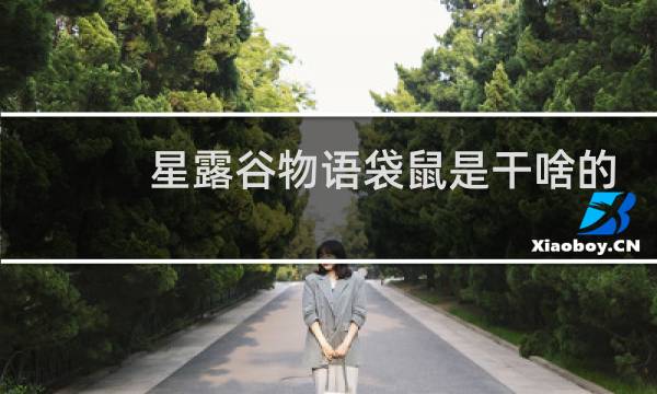 星露谷物语袋鼠是干啥的