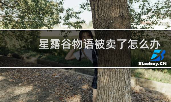 星露谷物语被卖了怎么办