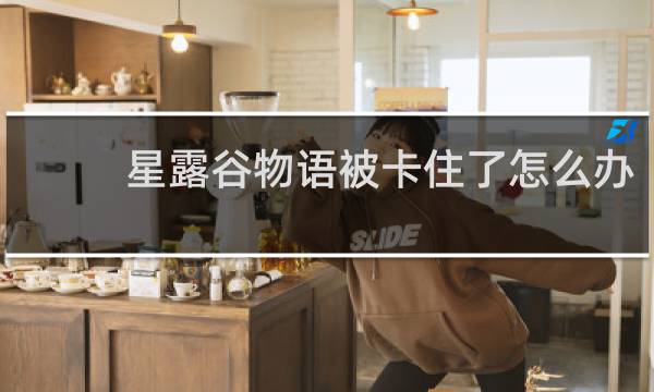 星露谷物语被卡住了怎么办