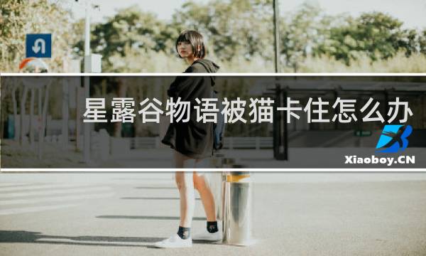 星露谷物语被猫卡住怎么办