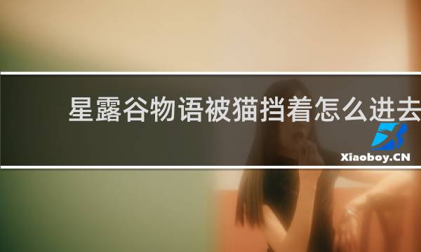 星露谷物语被猫挡着怎么进去