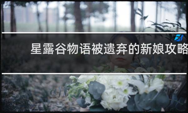 星露谷物语被遗弃的新娘攻略