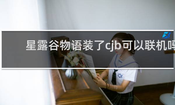星露谷物语装了cjb可以联机吗