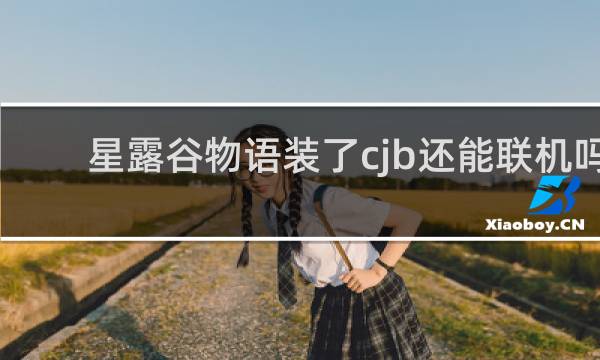 星露谷物语装了cjb还能联机吗