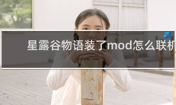 星露谷物语装了mod怎么联机