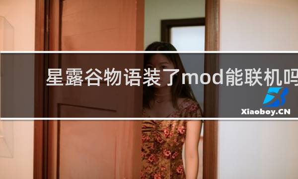 星露谷物语装了mod能联机吗