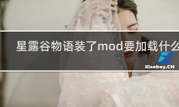 星露谷物语装了mod要加载什么用