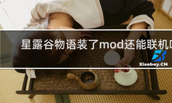 星露谷物语装了mod还能联机吗