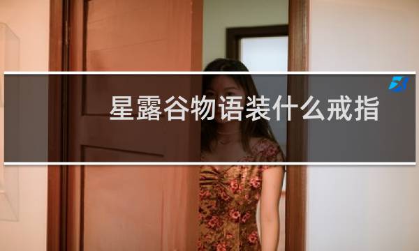 星露谷物语装什么戒指