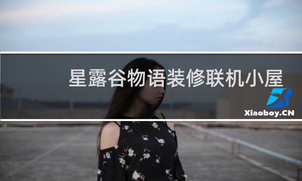 星露谷物语装修联机小屋