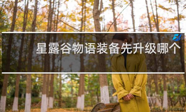 星露谷物语装备先升级哪个