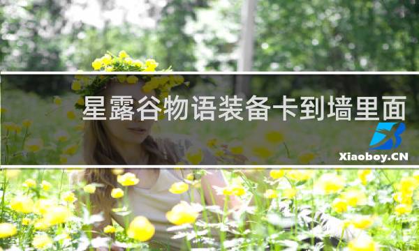 星露谷物语装备卡到墙里面