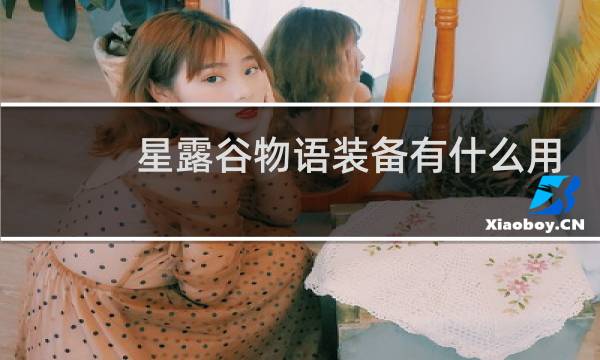 星露谷物语装备有什么用