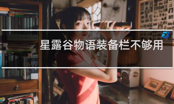 星露谷物语装备栏不够用