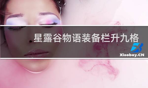 星露谷物语装备栏升九格