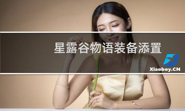 星露谷物语装备添置