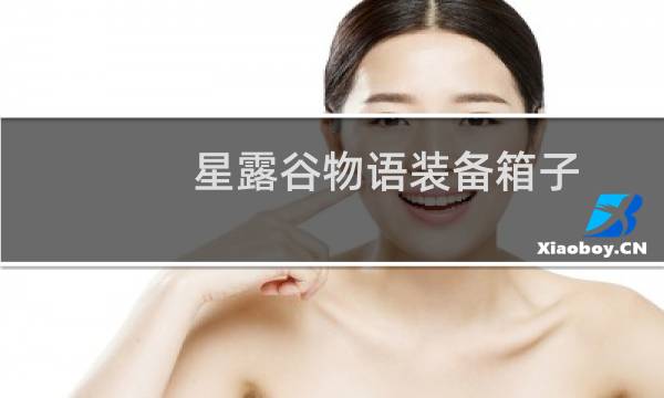 星露谷物语装备箱子