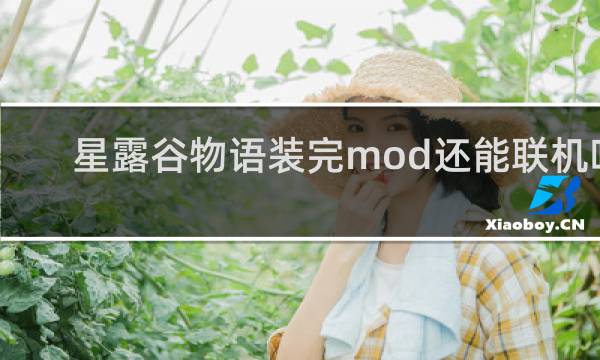 星露谷物语装完mod还能联机吗