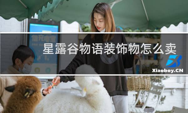 星露谷物语装饰物怎么卖