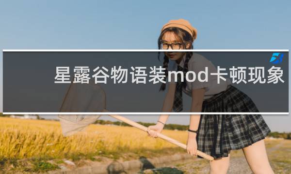 星露谷物语装mod卡顿现象