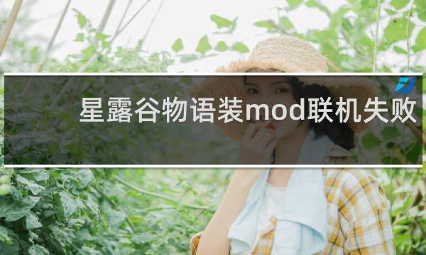 星露谷物语装mod联机失败