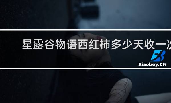 星露谷物语西红柿多少天收一次