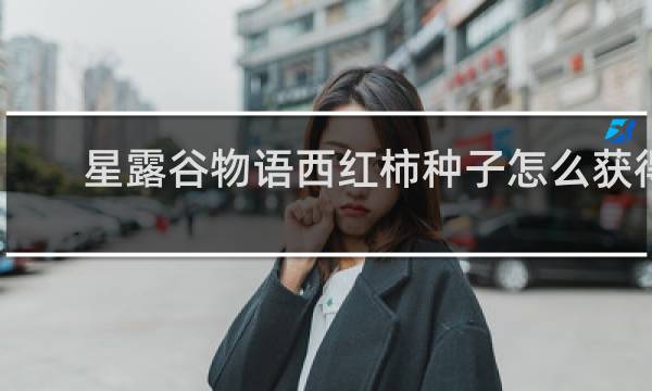 星露谷物语西红柿种子怎么获得