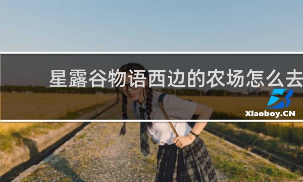 星露谷物语西边的农场怎么去