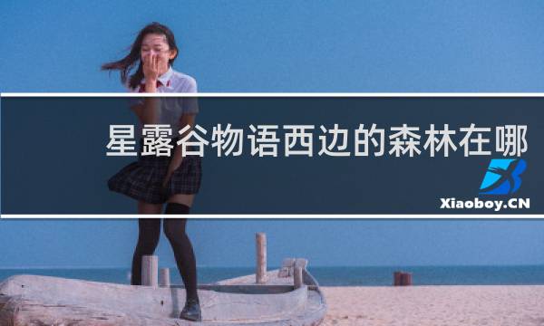 星露谷物语西边的森林在哪