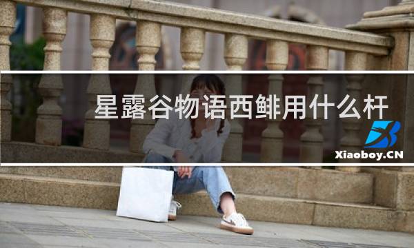 星露谷物语西鲱用什么杆