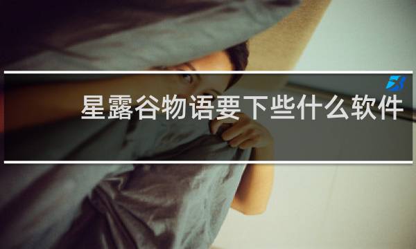 星露谷物语要下些什么软件
