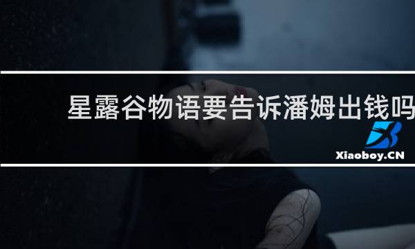 星露谷物语要告诉潘姆出钱吗