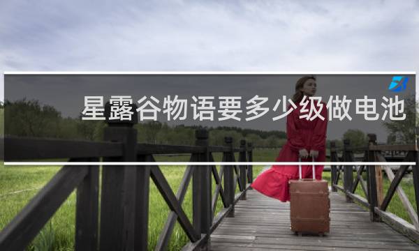 星露谷物语要多少级做电池