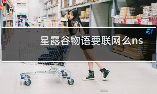 星露谷物语要联网么ns