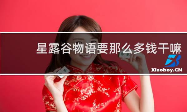 星露谷物语要那么多钱干嘛