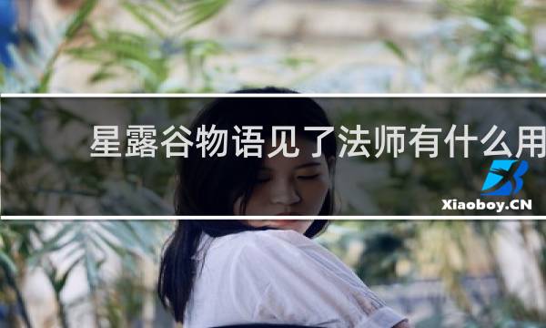 星露谷物语见了法师有什么用