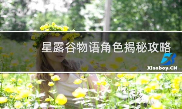 星露谷物语角色揭秘攻略