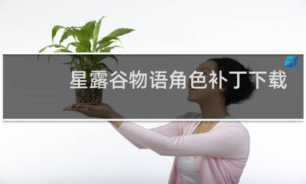 星露谷物语角色补丁下载