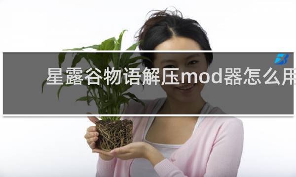 星露谷物语解压mod器怎么用
