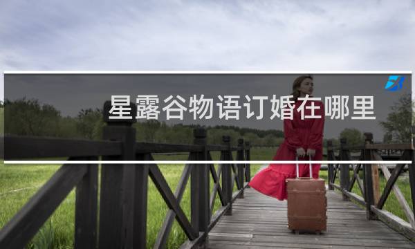 星露谷物语订婚在哪里