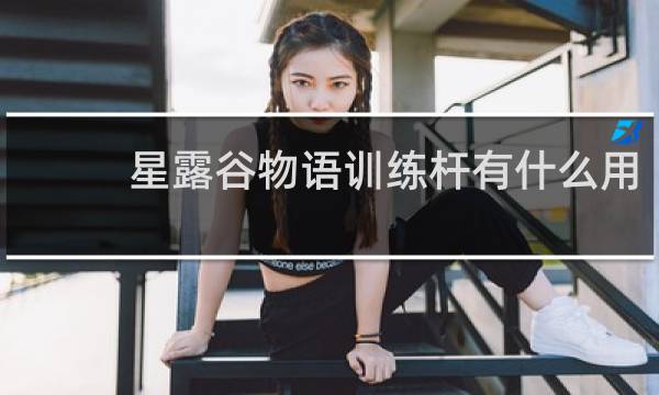 星露谷物语训练杆有什么用