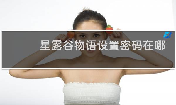 星露谷物语设置密码在哪