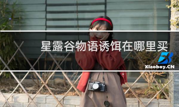 星露谷物语诱饵在哪里买