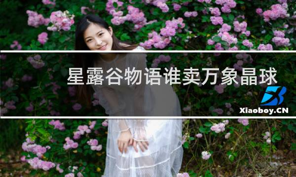 星露谷物语谁卖万象晶球