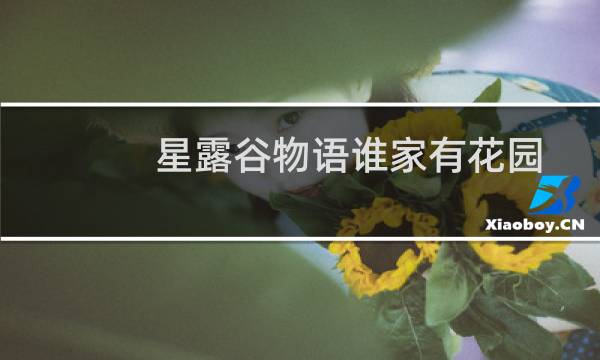 星露谷物语谁家有花园