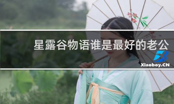 星露谷物语谁是最好的老公