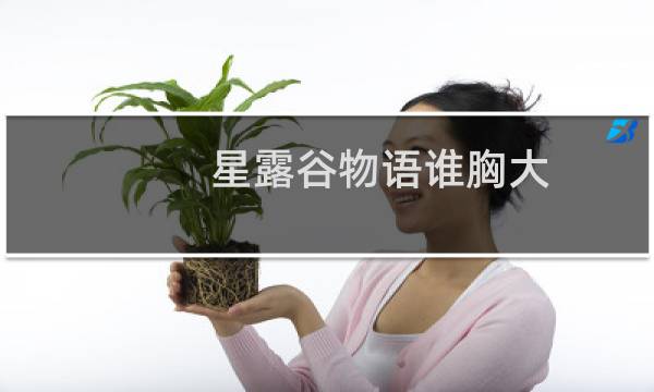星露谷物语谁胸大
