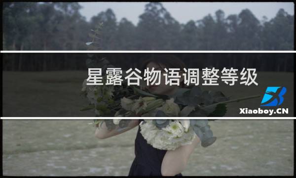 星露谷物语调整等级