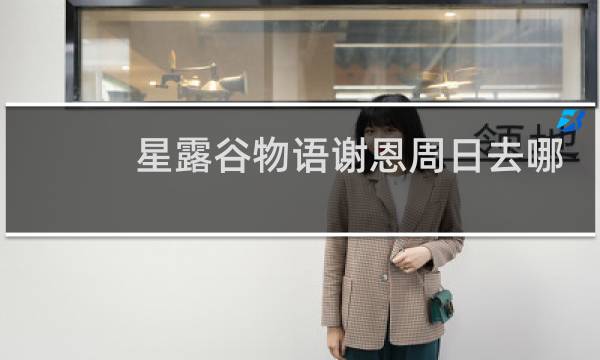 星露谷物语谢恩周日去哪