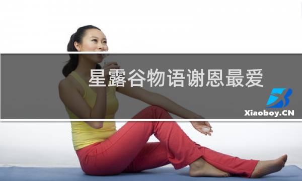 星露谷物语谢恩最爱